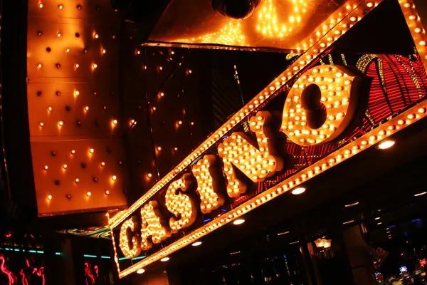 totosloto login What's Inside Our Live Casino